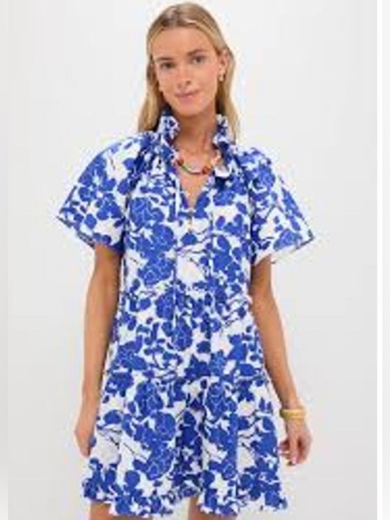 Hyacinth House Dresses & Skirts - NWT - Hyacinth House Thea Mini Dress — Blue Floral — Size S